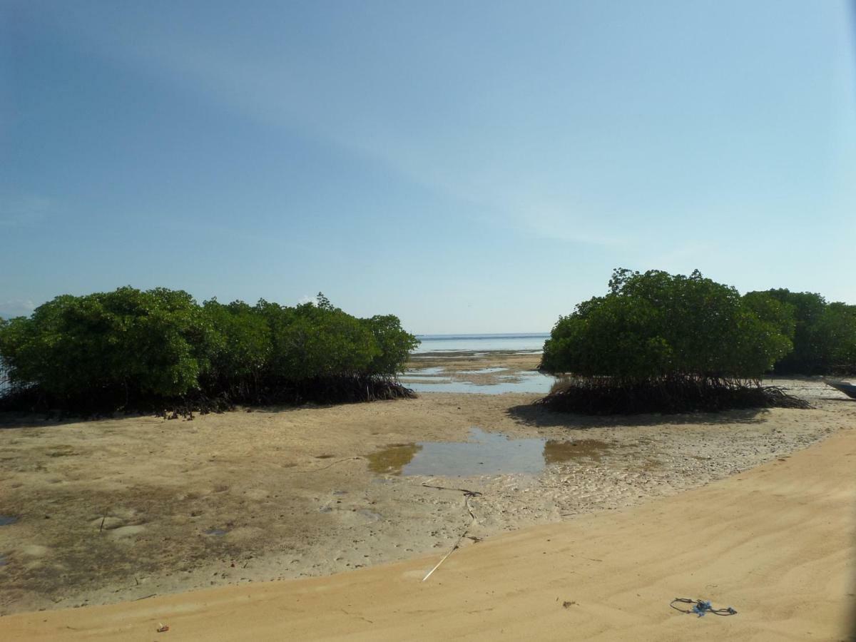 Mangrove Paradise Retreat นูซาเลมโบงัน ภายนอก รูปภาพ